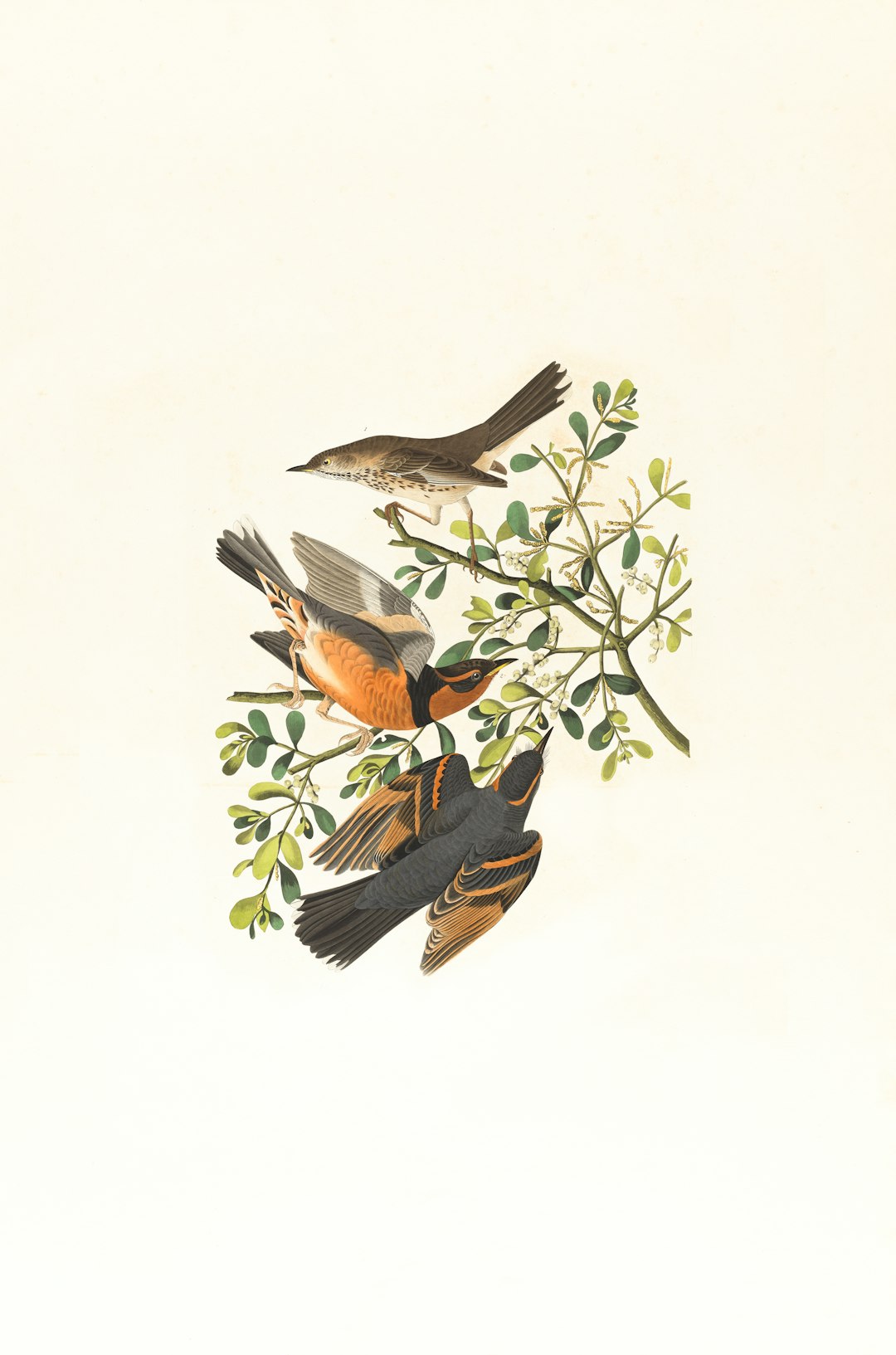 Featured image for The Nightingale Movie 2025 Two Stories, One Powerful Legacy