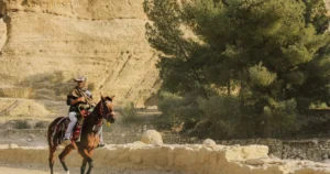 Featured image for Why The Alchemist is a Must-Read 11 Life-Changing Reasons