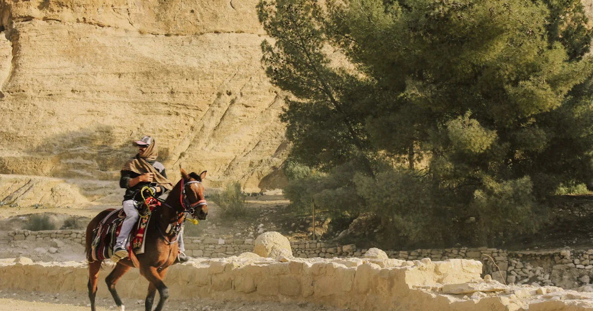 Featured image for Why The Alchemist is a Must-Read 11 Life-Changing Reasons